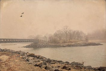 Island Bridge - Free image #295483